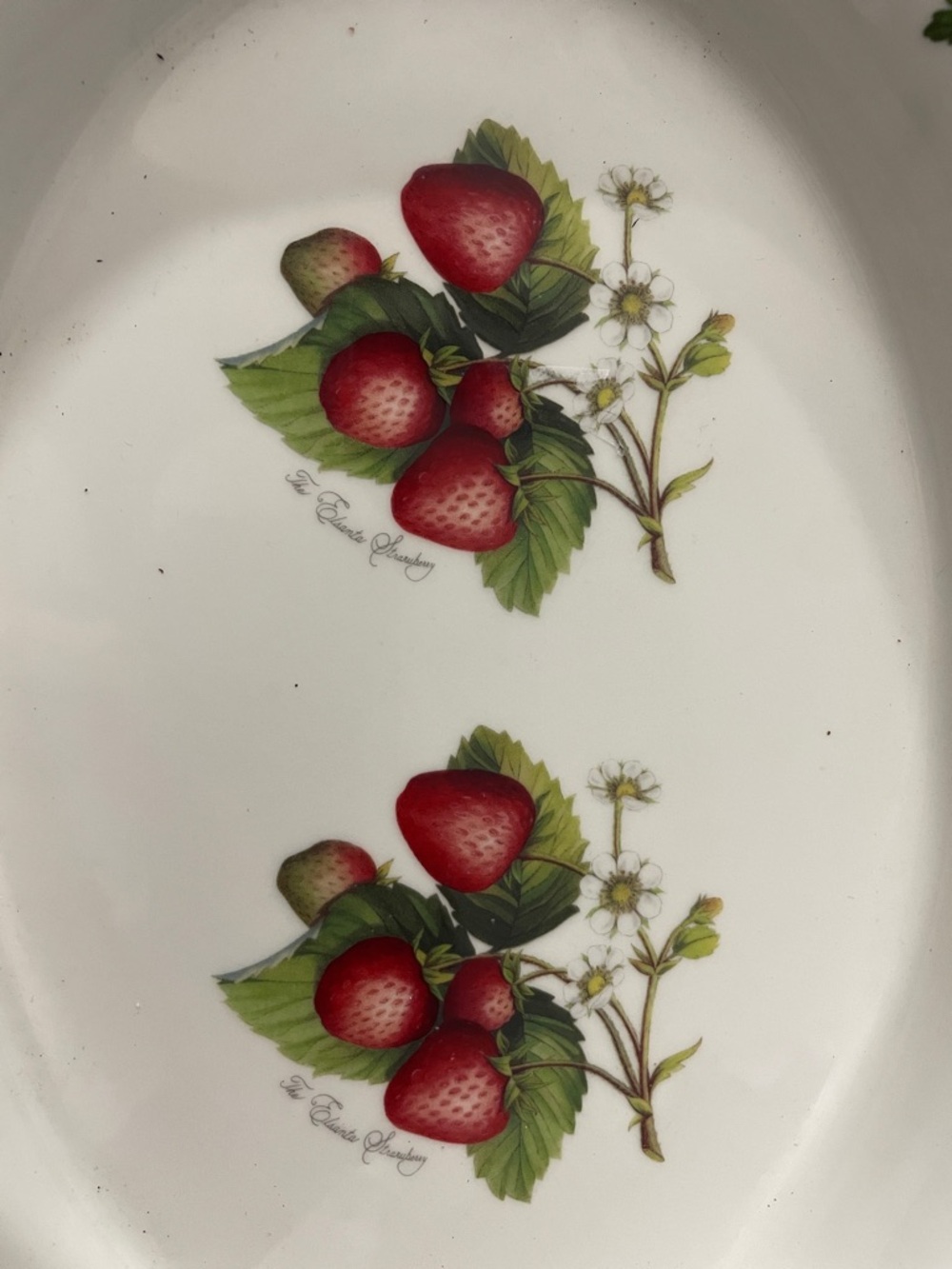 Portmeirion Strawberry Oval Serving Platter - White, Red, Green - Picture 4 of 4